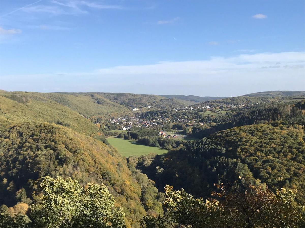 Villa Holgenbach - Penthouse- Und Ferienwohnung Im Nationalpark Eifel Schleiden Dış mekan fotoğraf