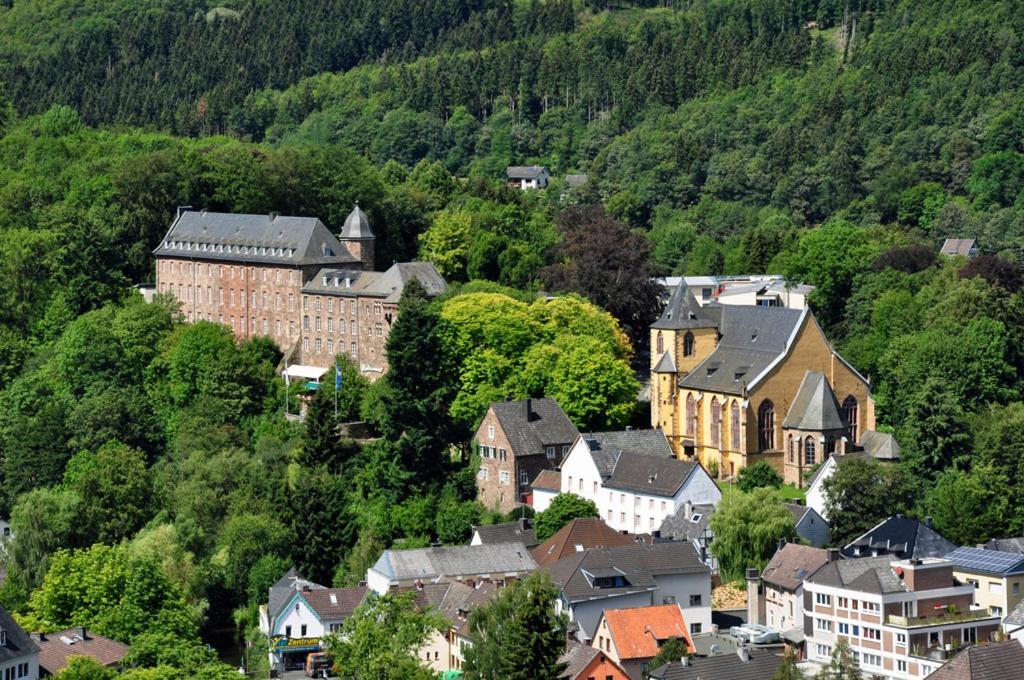 Villa Holgenbach - Penthouse- Und Ferienwohnung Im Nationalpark Eifel Schleiden Dış mekan fotoğraf