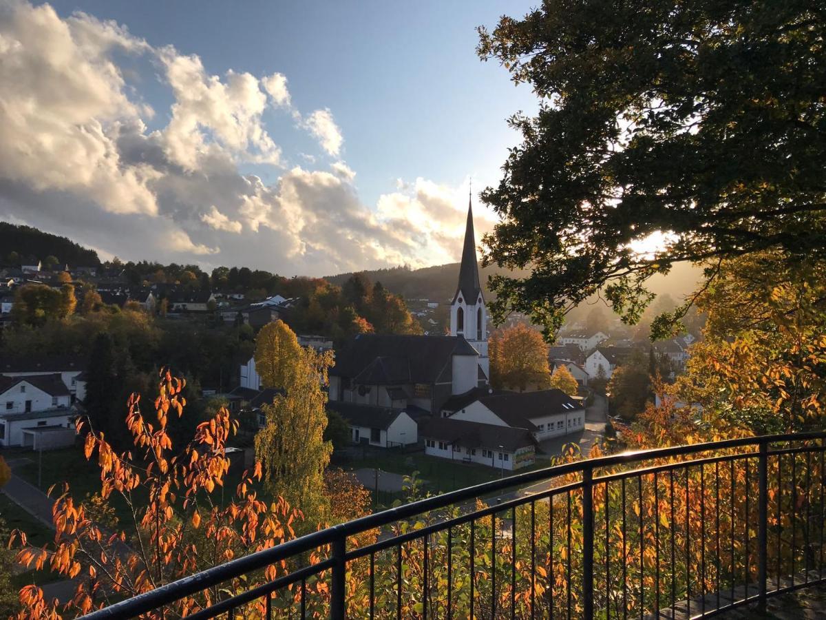 Villa Holgenbach - Penthouse- Und Ferienwohnung Im Nationalpark Eifel Schleiden Dış mekan fotoğraf