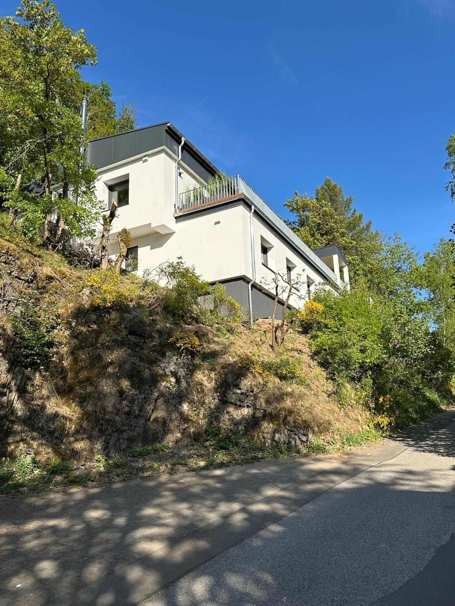 Villa Holgenbach - Penthouse- Und Ferienwohnung Im Nationalpark Eifel Schleiden Dış mekan fotoğraf