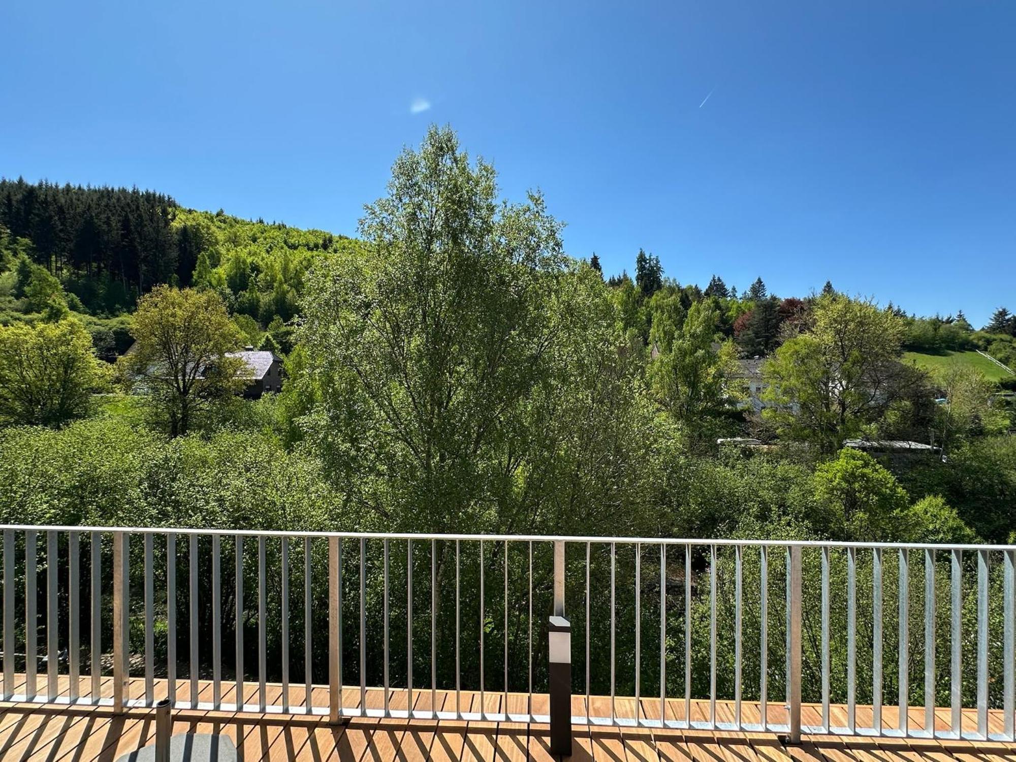 Villa Holgenbach - Penthouse- Und Ferienwohnung Im Nationalpark Eifel Schleiden Dış mekan fotoğraf