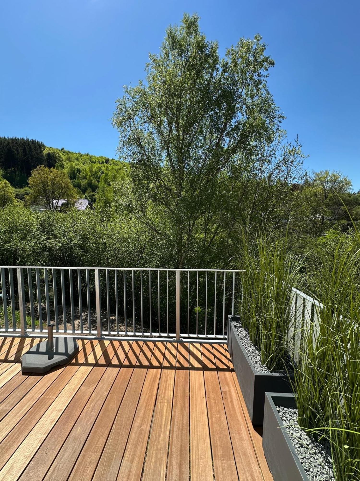 Villa Holgenbach - Penthouse- Und Ferienwohnung Im Nationalpark Eifel Schleiden Dış mekan fotoğraf